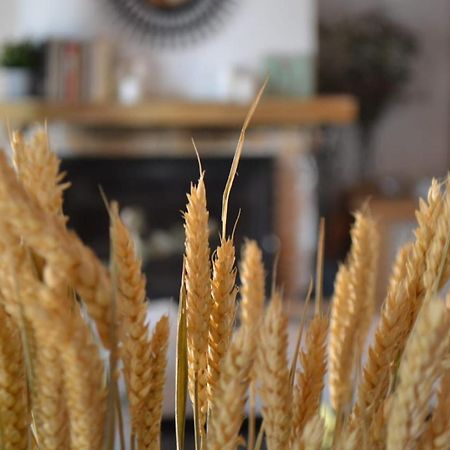 Finca Paredes Valdetorres de Jarama Екстер'єр фото