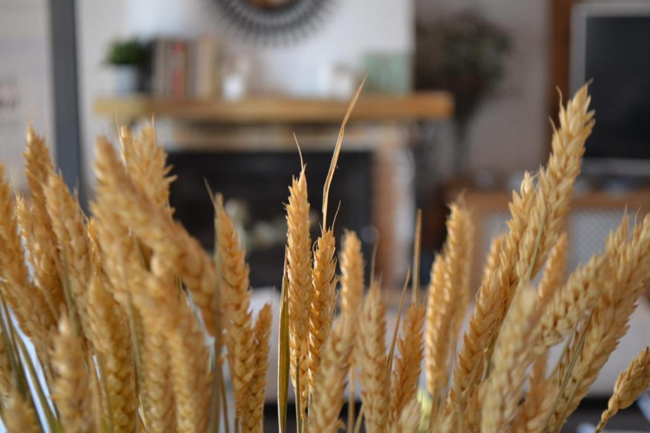 Finca Paredes Valdetorres de Jarama Екстер'єр фото