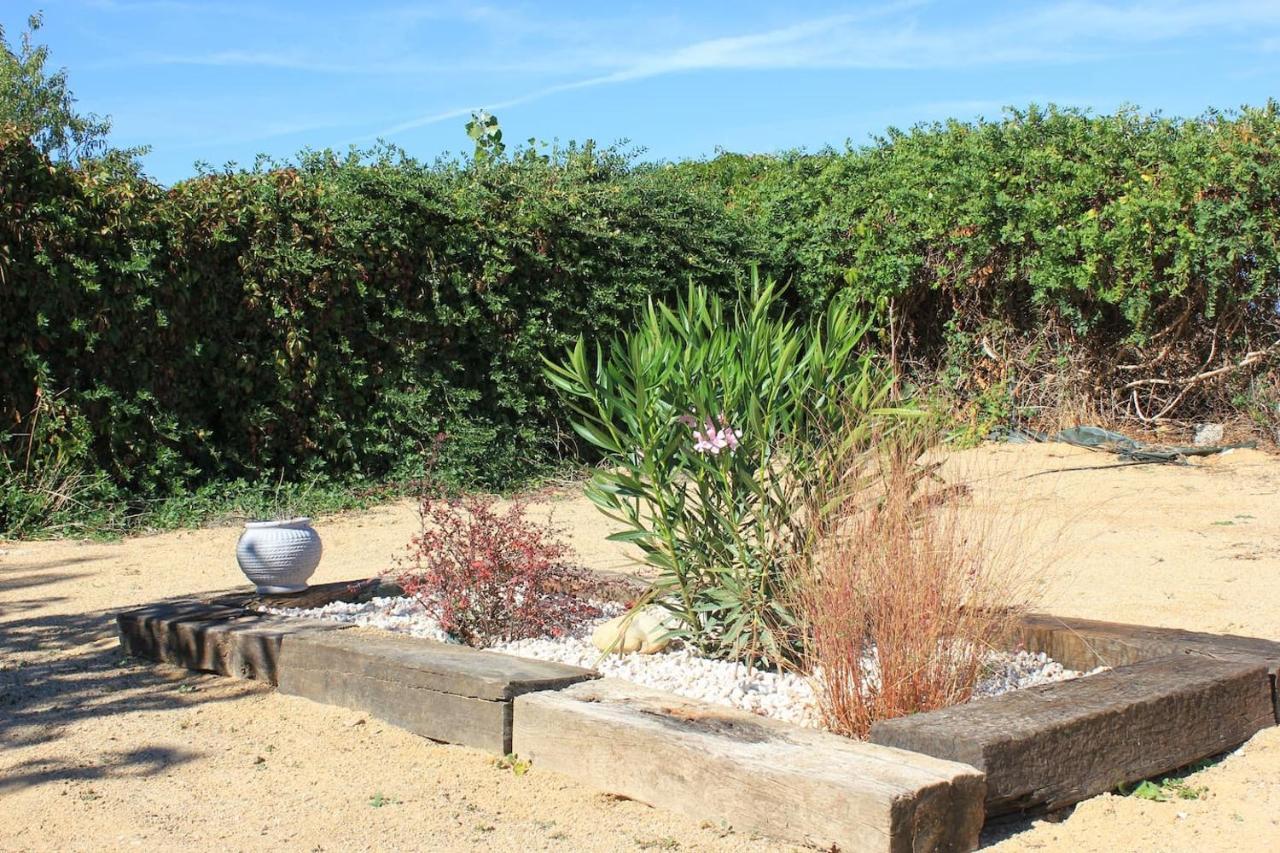 Finca Paredes Valdetorres de Jarama Екстер'єр фото