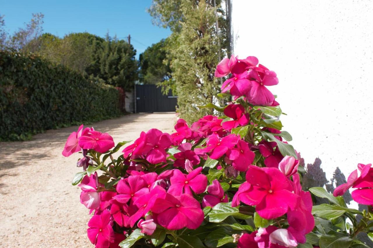 Finca Paredes Valdetorres de Jarama Екстер'єр фото