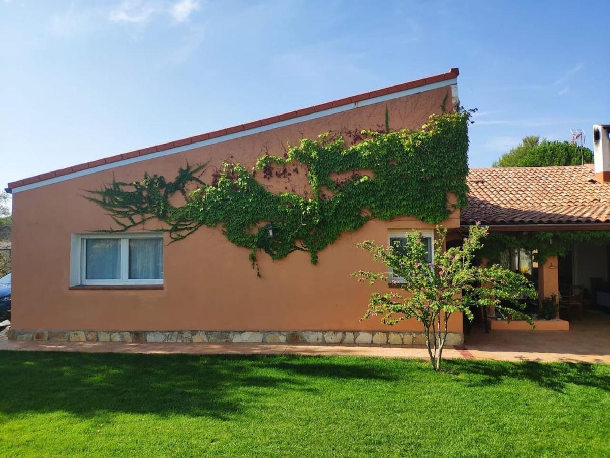 Finca Paredes Valdetorres de Jarama Екстер'єр фото
