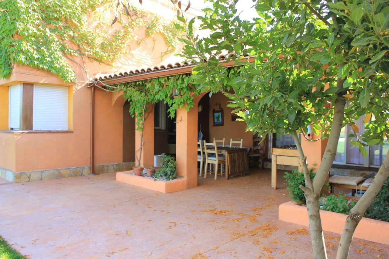 Finca Paredes Valdetorres de Jarama Екстер'єр фото