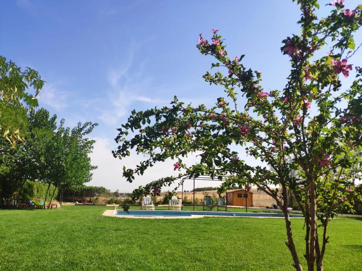 Finca Paredes Valdetorres de Jarama Екстер'єр фото